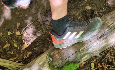 Adidas Terrex Skychaser