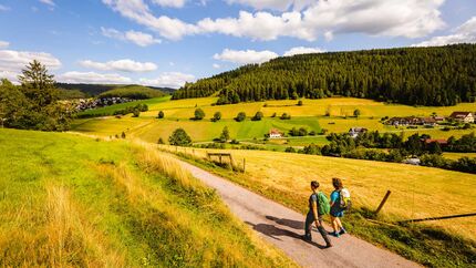 Baiersbronn - Schwarzwald - Deutschland