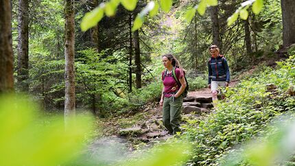 OD-0515-Schwarzwald-Baiersbronn-009 (jpg)